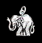 Der Elefant