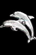 Delfinpaar